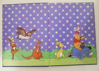 Winnie The Pooh Disney De Agostini - 13 Libri