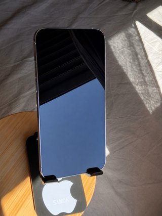 iPhone 14 Pro Max 256GB /100%/ORIGINAL /PLATA