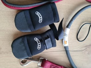 Lote accesorios para perro