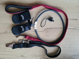 Lote accesorios para perro
