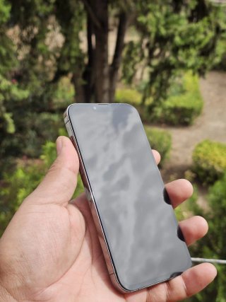 iPhone 13 Pro Max Gris Espacial