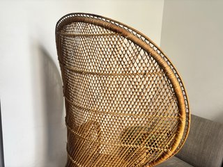 Sillón Ratan Pavo Real Vintage