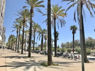 Ático en venta en El Poblenou en Barcelona