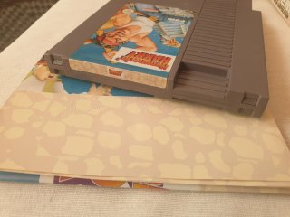 Hammerin' Harry Nintendo NES Completo pal B esp.