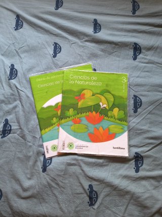Lote Libros de texto 3° de primaria