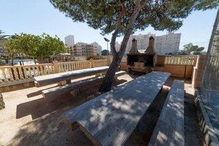 Piso en alquiler en Playa Mucha Vista en Campello (el)