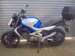 Suzuki 18955 intermitente delantero gladius 650