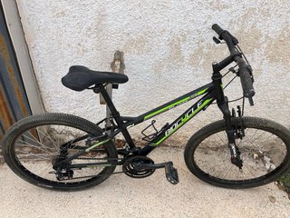Bicicleta de montaña Biocycle