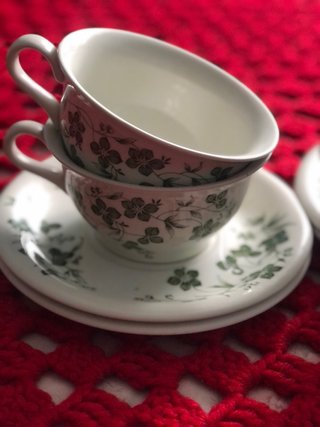 Juego de tazas Pontesa flores verdes