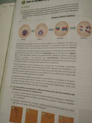 Biologia i Geologia, 4 Secundària, Revola