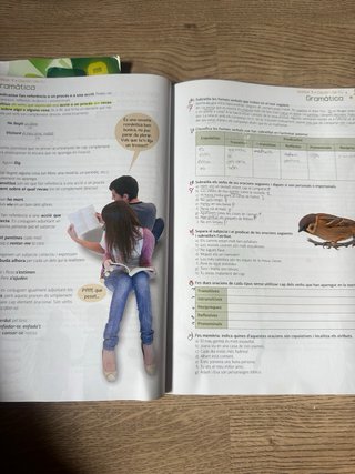 Enllaç 1. Volum 1 Valencià llengua i literatura...