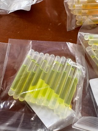 Lote 250 mini barritas luminosas pesca