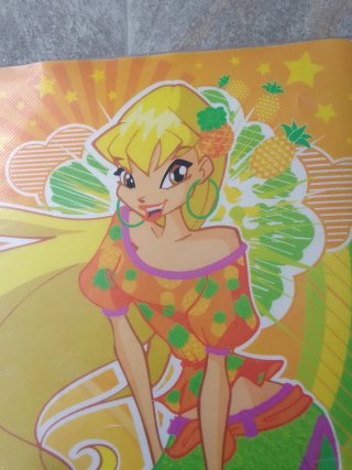 2 Tovagliette Winx in plastica