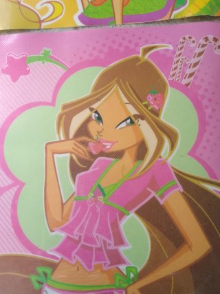 2 Tovagliette Winx in plastica