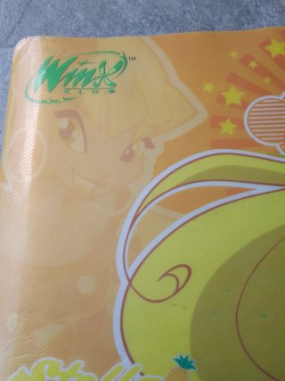 2 Tovagliette Winx in plastica