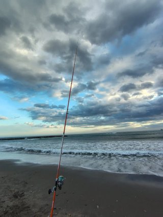 Caña de surfcasting Daiwa Proteus Sur
