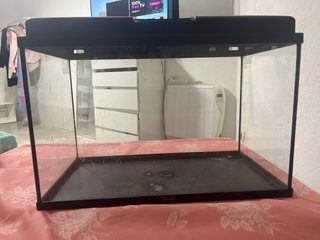 Acuario para peces, tortugas, plantas