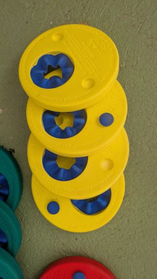 Discos natación Delphin Swim Discs (3 uds)