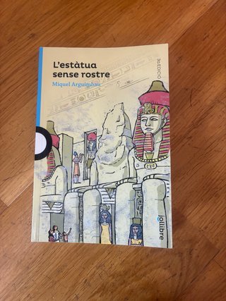 Libro ‘L’estàtua sense rostre’