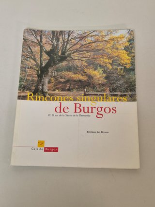 Lote 5 libros "Rincones Singulares de Burgos"