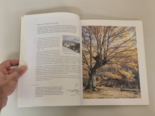 Lote 5 libros "Rincones Singulares de Burgos"