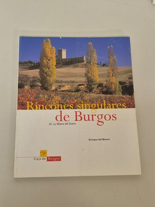 Lote 5 libros "Rincones Singulares de Burgos"