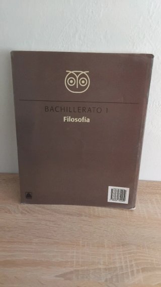 Filosofía, Bachillerato 1
