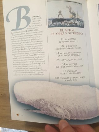 Moby Dick la atracción del abismo