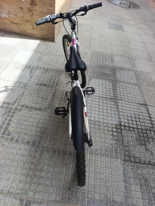 Bicicleta blanca