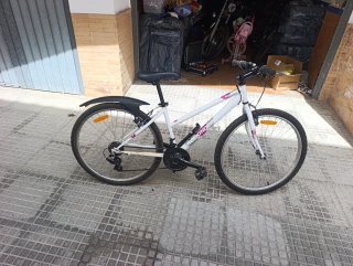 Bicicleta blanca