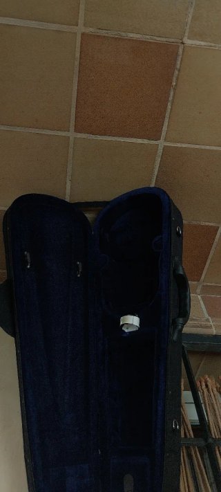 Funda de violín negra RAPSODY