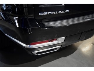 Cadillac Escalade ESV 6.2 V8 Premium Luxury 309 kW (420 CV)