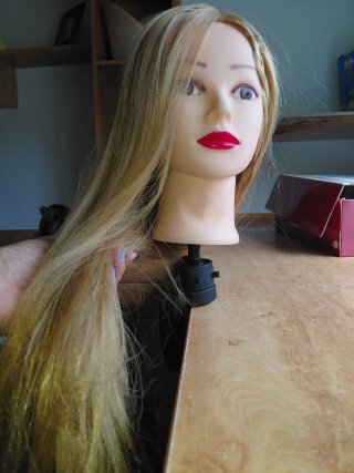 Cabeza Maniquí Peluquería Prácticas de peinados