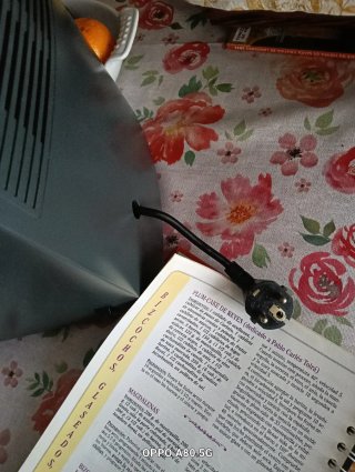 Thermomix TM21 Vorwerk+ recetario+ bandeja varoma