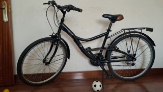 Bicicleta Paseo Country 26