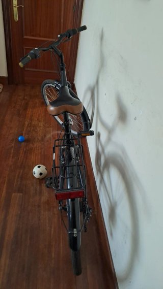 Bicicleta Paseo Country 26