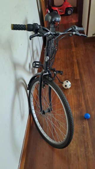 Bicicleta Paseo Country 26