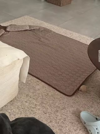 Alfombra Refrescante para Perros y Gato