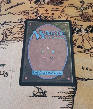 CARTA MAGIC - FLOODED STRAND