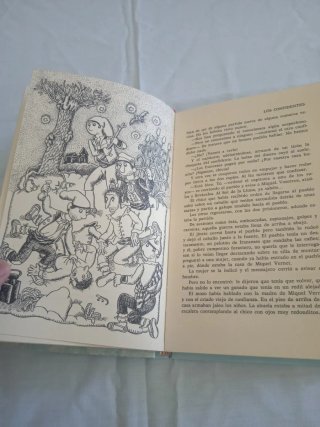 Libro los amigos del viento