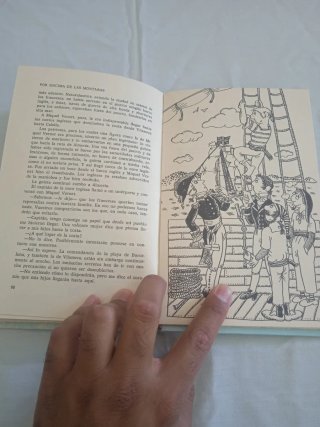 Libro los amigos del viento