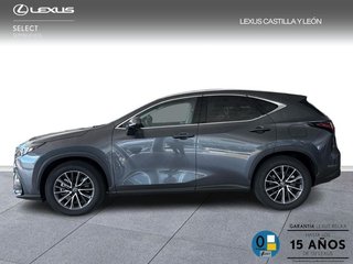 Lexus NX 450H + PREMIUM + 4WD