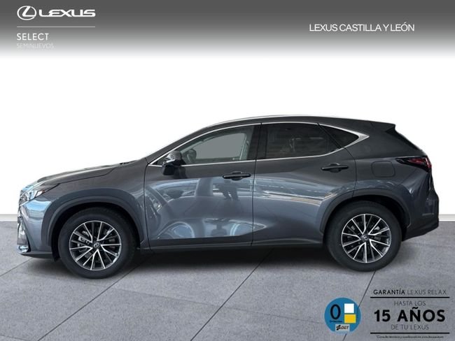 Lexus NX 2025, foto 11