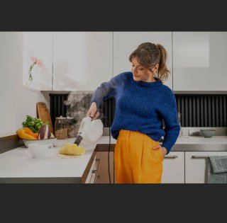 Limpiador a vapor Karcher Steam Cleaner