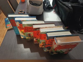 SERIE GERONIMO STILTON EN EL REINO DE LA FANTASIA