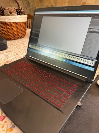 Portátil MSI Gamming