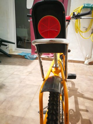 Bicicleta Vintage