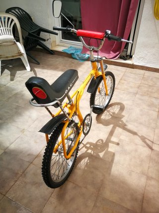 Bicicleta Vintage