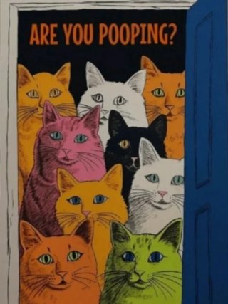 CARTEL GATOS EN PUERTA Y MENSAJE  ARE YOU POOPING?
