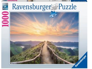 Lote 2 puzzles 1000 piezas